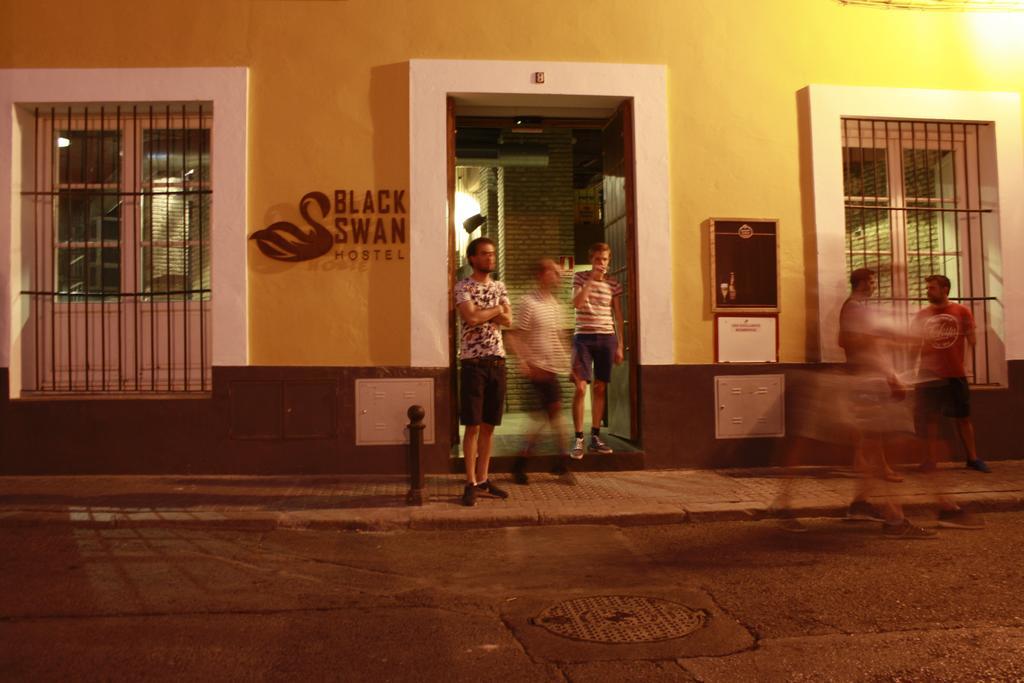Hostel Black Swan *